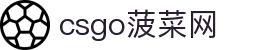csgo菠菜网(中国区)有限公司官网